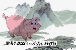 运势测算2023年属猪男 属猪的2023年运势运程每月运程