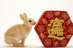 春节破坏百姓财运的动物 传说中在春节破坏百姓好运财运的动物是?