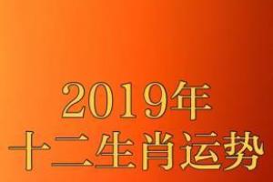2019年12生肖运势解析 2019年十二生肖运势详解(最新完整版)2020