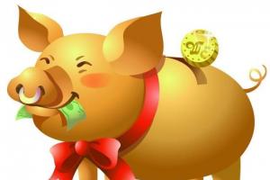 属猪的财运和运气如何 属猪的财运和运气如何2023