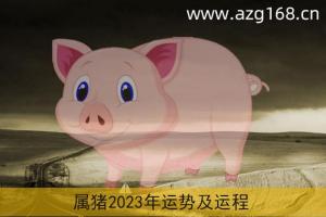 属猪在2023年每月运势(属猪2023年每月运势祥安阁)