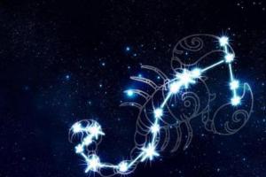 天蝎座是什么象星座的五行属什么