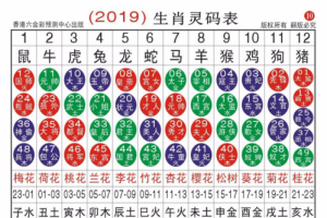 香港2023生肖灵码表 2023年香港正版生肖灵码表