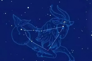 摩羯座属于什么象星座 巨蟹座和谁是天生一对