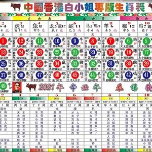 2023年生肖表波色十二生肖卡六合彩对照表排期表香港白小姐12牛年