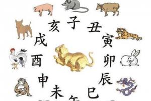 十二生肖对中国的意义十二生肖的真正寓意(十二生肖最善变的动物)