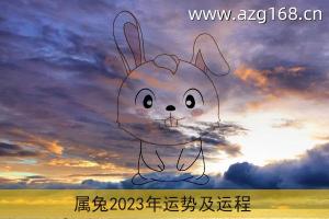 1987年属兔2023年运势及运程 1987年属兔2023年运势及运程女性